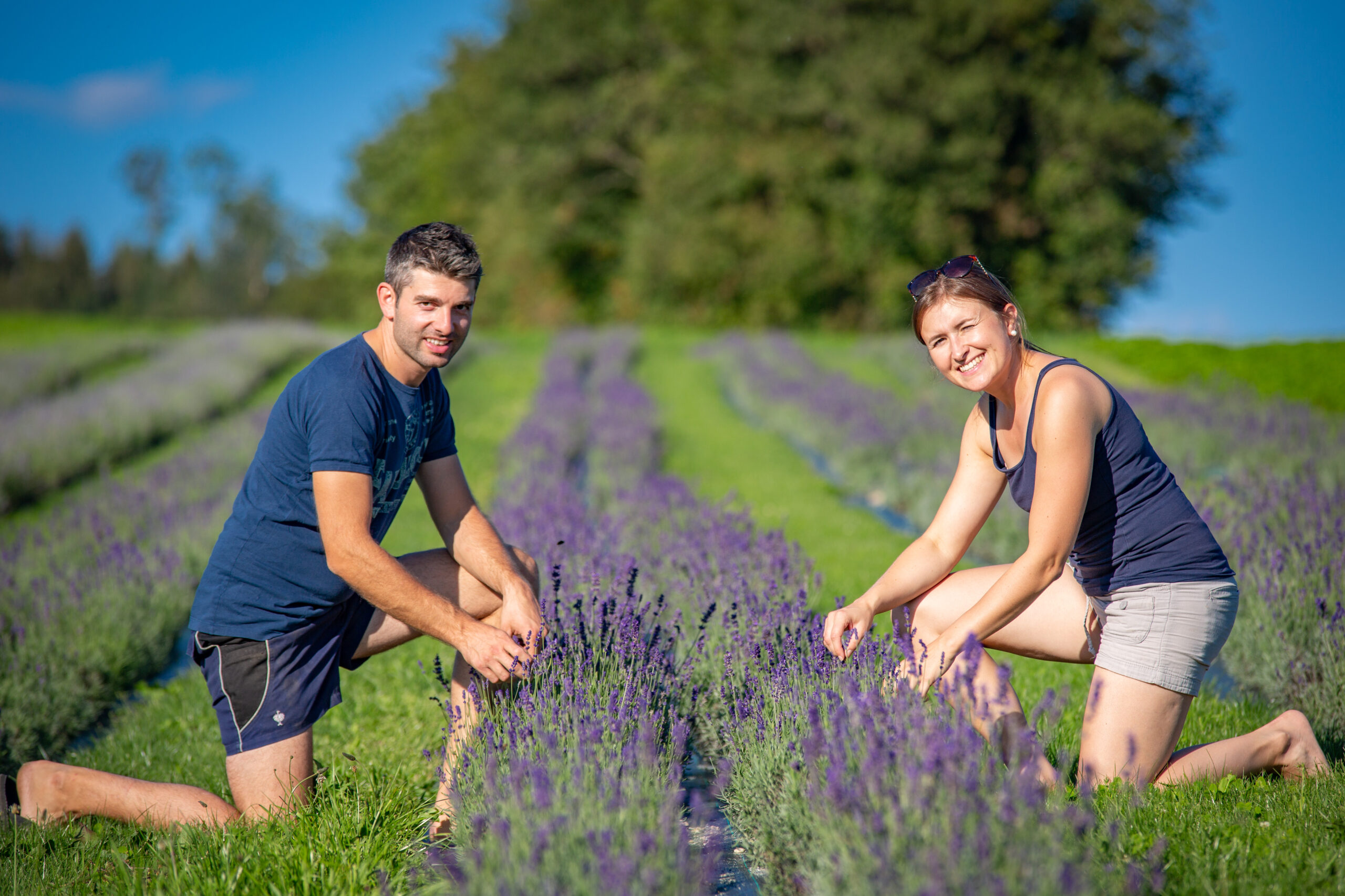 21_09_03_Neundling_Lavendel_Falkinger_14